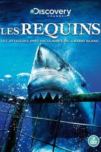 Les documentaires sur les requins